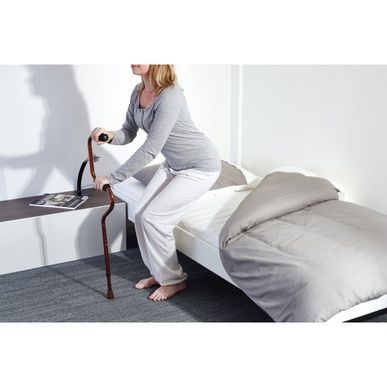 Трость двухуровневая в аренду